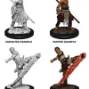 Half-Elf Male Monk (Wave 10) Dungeons & Dragons Nolzurs Marvelous Unpainted Miniature Figur