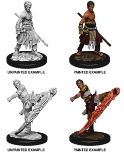 Half-Elf Male Monk (Wave 10) Dungeons & Dragons Nolzurs Marvelous Unpainted Miniature Figur