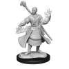 Half-Elf Male Wizard (Wave 14) Dungeons & Dragons Nolzurs Marvelous Unpainted Miniature Figur