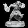 Half-Elf Warlock (Wave 20) Dungeons & Dragons Nolzurs Marvelous Unpainted Miniature