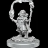 Halfling Wizards (Wave 20) Dungeons & Dragons Nolzurs Marvelous Unpainted Miniature