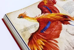 Harry Potter and the Chamber of Secrets: Deluxe Illustrated Slipcase Edition