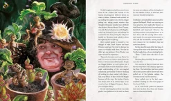 Harry Potter and the Chamber of Secrets: Illustrated Edition