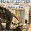 Harry Potter and the Goblet of Fire : Illustrated Edition