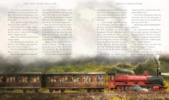 Harry Potter and the Goblet of Fire : Illustrated Edition