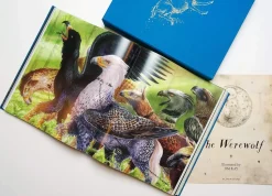 Harry Potter and the Prisoner of Azkaban: Deluxe Illustrated Slipcase Edition