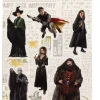 Harry Potter Character Magnets Set B