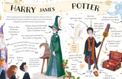 Harry Potter: The must-have Christmas stocking filler for Potter fans!