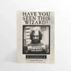 Have You Seen This Wizard Lenticular Greeting Card