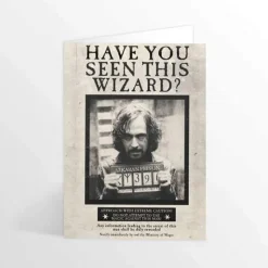 Have You Seen This Wizard Lenticular Greeting Card