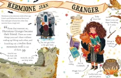 Hermione Granger: The must-have Christmas stocking filler for Potter fans!