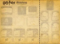 Hogwarts Battle Playmat