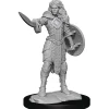 Human Female Champion (Wave 14) Pathfinder Deep Cuts Unpainted Miniature Figur
