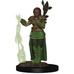 Human Female Druid (Wave 2) Icons of the Realms Premium Painted Miniatures Figur