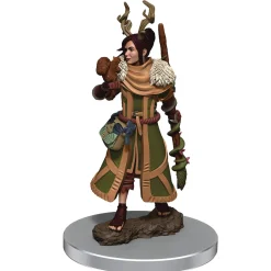 Human Female Druid (Wave 7) Icons of the Realms Premium Painted Miniatures Figur