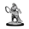 Human Female Monk (Wave 14) Dungeons & Dragons Nolzurs Marvelous Unpainted Miniature Figur