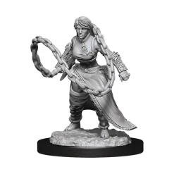 Human Female Monk (Wave 14) Dungeons & Dragons Nolzurs Marvelous Unpainted Miniature Figur