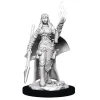 Human Female Oracle (Wave 11) Pathfinder Deep Cuts Unpainted Miniature Figur