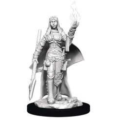 Human Female Oracle (Wave 11) Pathfinder Deep Cuts Unpainted Miniature Figur