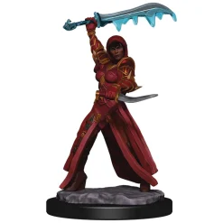 Human Female Rogue (Wave 5) Icons of the Realms Premium Painted Miniatures Figur