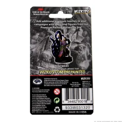 Human Female Warlock (Wave 3) Icons of the Realms Premium Painted Miniatures Figur