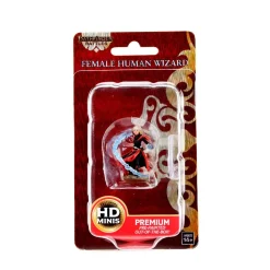 Human Female Wizard Pathfinder Battles Premium Painted Figure Figur