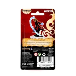 Human Female Wizard Pathfinder Battles Premium Painted Figure Figur