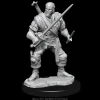 Human Male Bard (Wave 15) Dungeons & Dragons Nolzurs Marvelous Unpainted Miniature Figur