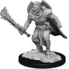 Human Male Champion (Wave 14) Pathfinder Deep Cuts Unpainted Miniature Figur