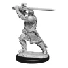 Human Male Paladin (Wave 14) Dungeons & Dragons Nolzurs Marvelous Unpainted Miniature Figur