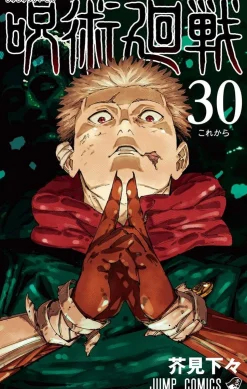 Jujutsu Kaisen 30