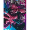 Jujutsu Kaisen 14 (Japansk)