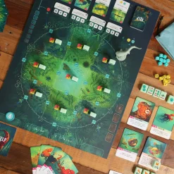 Kelp: Shark vs Octopus