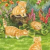 Kitten and the Sunny Garden Puzzle (500)