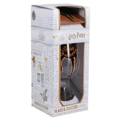 Leaky Cauldron Glass and Coaster Set