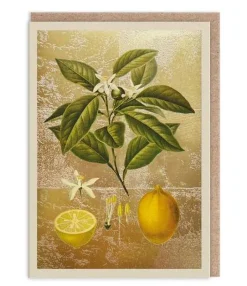 Lemons Greeting Card