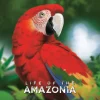 Life of the Amazonia Kickstarter Edition
