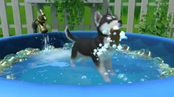 Little Friends: Puppy Island (Switch)