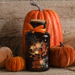 Mickey and Minnie LED Light Up Jar