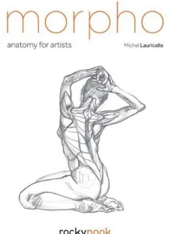 Morpho: Anatomy for Artists