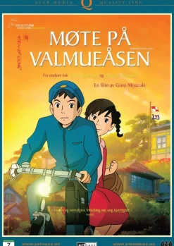 Møtet på Valmueåsen (DVD)