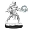 Multiclass Fighter / Wizard Male (Wave 13) Dungeons & Dragons Nolzurs Marvelous Unpainted Miniature Figur
