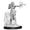 Multiclass Warlock / Sorcerer Female (Wave 13) Dungeons & Dragons Nolzurs Marvelous Unpainted Miniature Figur