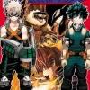 My Hero Academia, Vol. 13