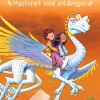 Mysteriet med soldragen