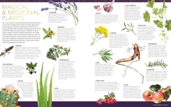 National Geographic Book of Magic and the Occult: A Visual History