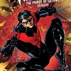 Nightwing: The Prince of Gotham Omnibus: (2025 Edition)