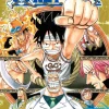 One Piece, Vol. 45