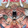 One Piece, Vol. 48