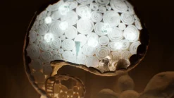 Papetura Craft Edition (Switch)